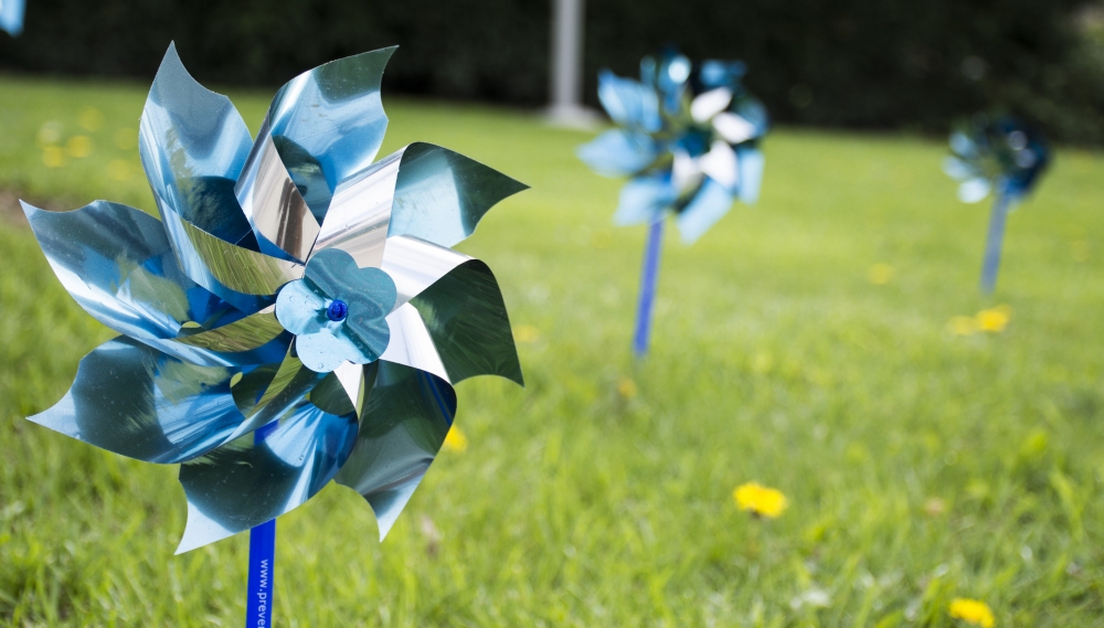 Blue pinwheels throughout Muncie bring awareness to child abuse Ball