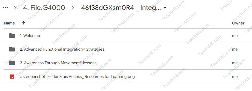Integration vs. Differentiation: Advanced Strategies in Functional Integration By Ruthy Alon - free download