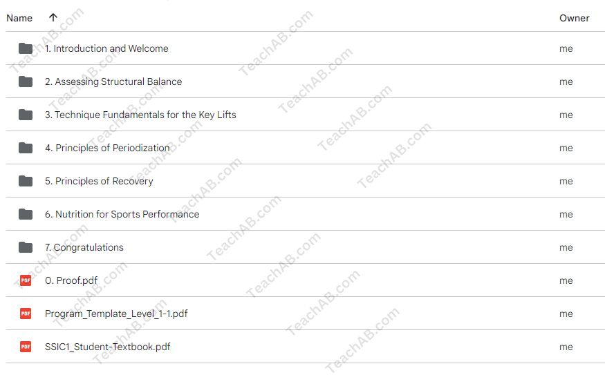 Strength System International  Level 1 By Sebastian Oreb - free download