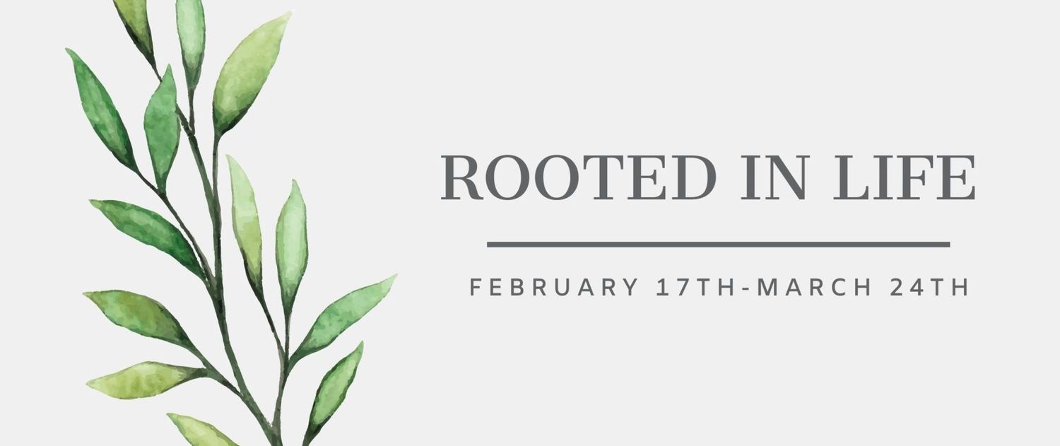 Mount Calvary Lutheran Church Eagan, MN Home