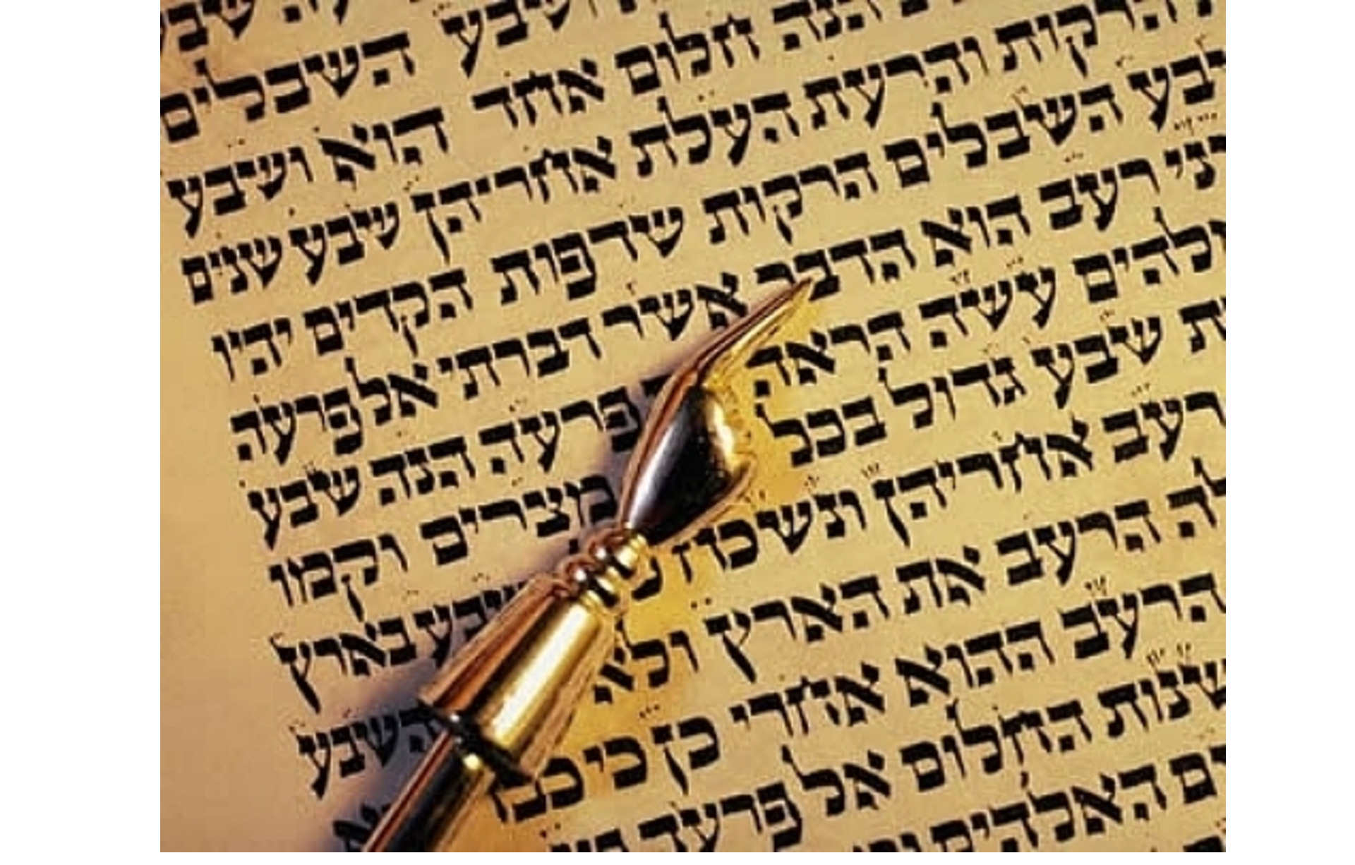 вторая буква торы 5 букв