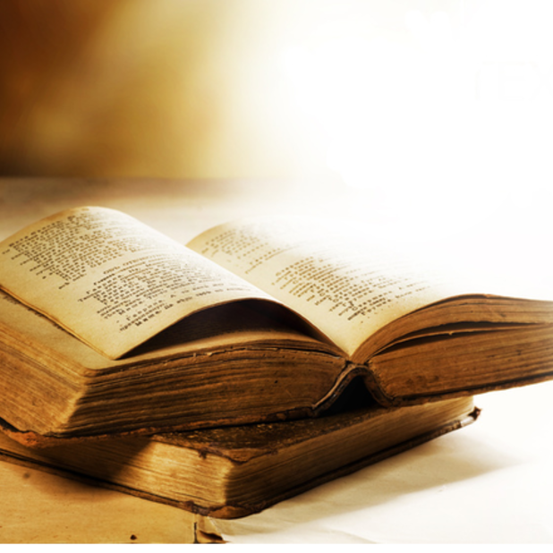 New Market Baptist Church Home