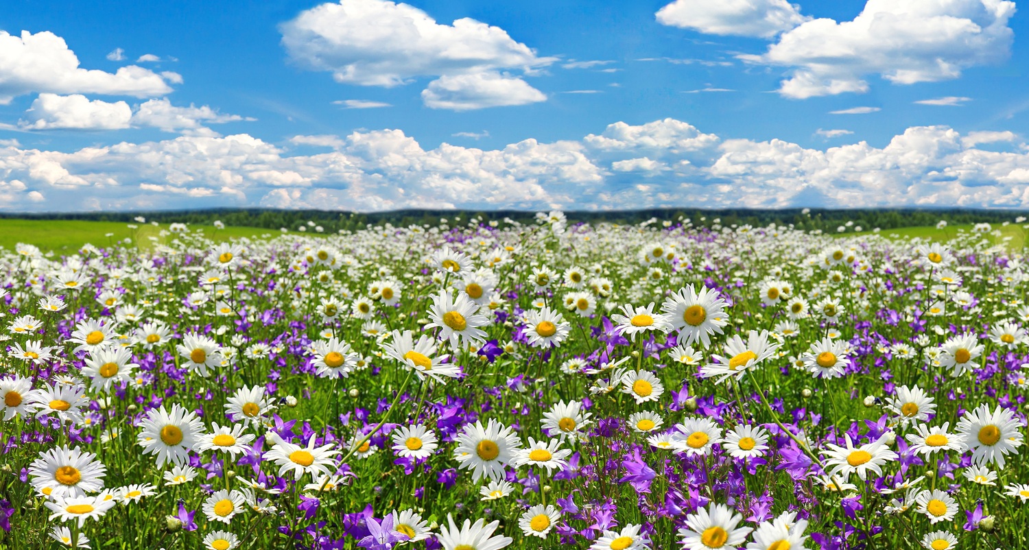 Hodgenville Pentecostal Church Home
