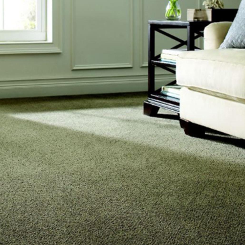 Seasons Carpet Cleaning QUICKDRY