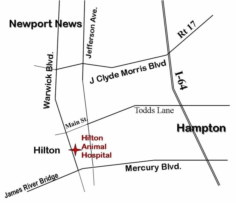 Hilton Animal Hospital Address & Map