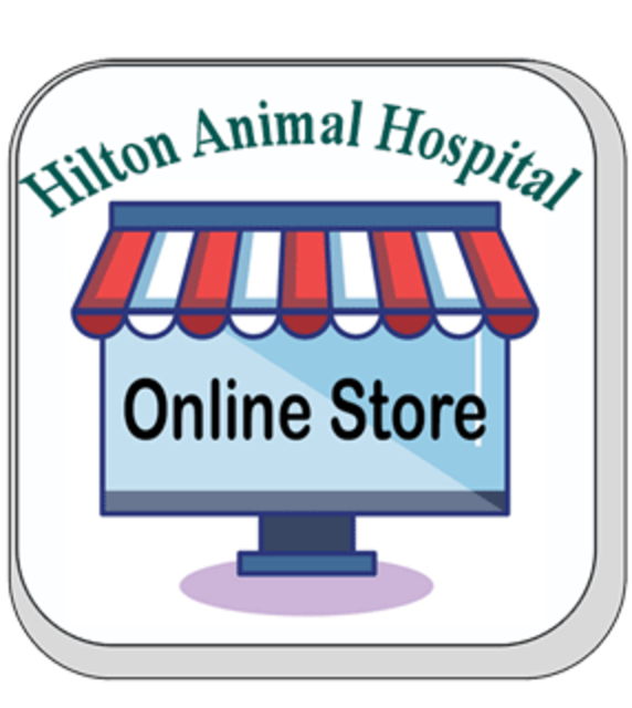 Hilton Animal Hospital Home