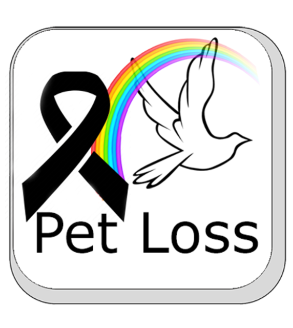 Hilton Animal Hospital Resources & Links