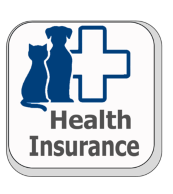 Hilton Animal Hospital Home