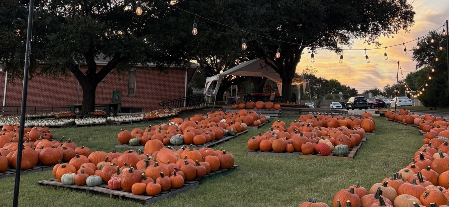Pumpkins at the Central Christian Church Pumpkin Patch on Lake Shore Drive in Waco