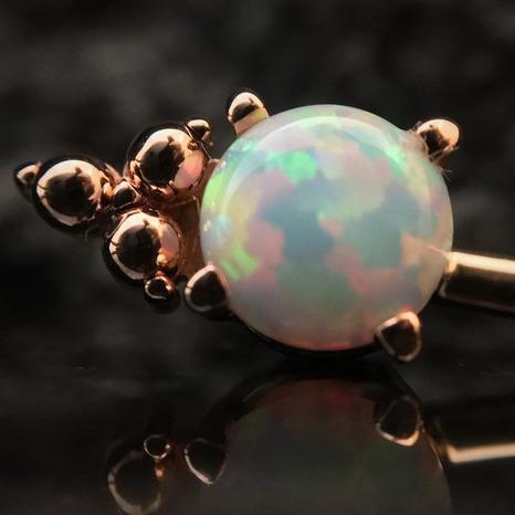 The Collective Tattoo & Body Piercing | PIERCING