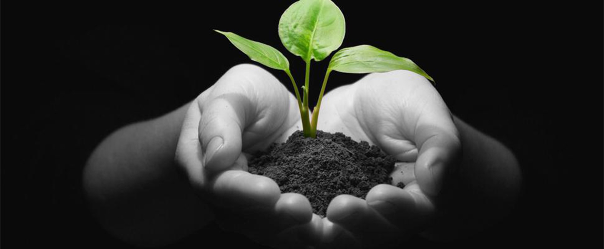 Black Creek Methodist Home