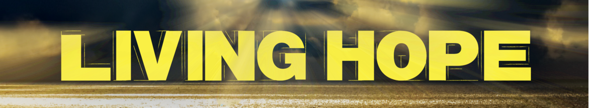 Living Hope Church | What We Believe