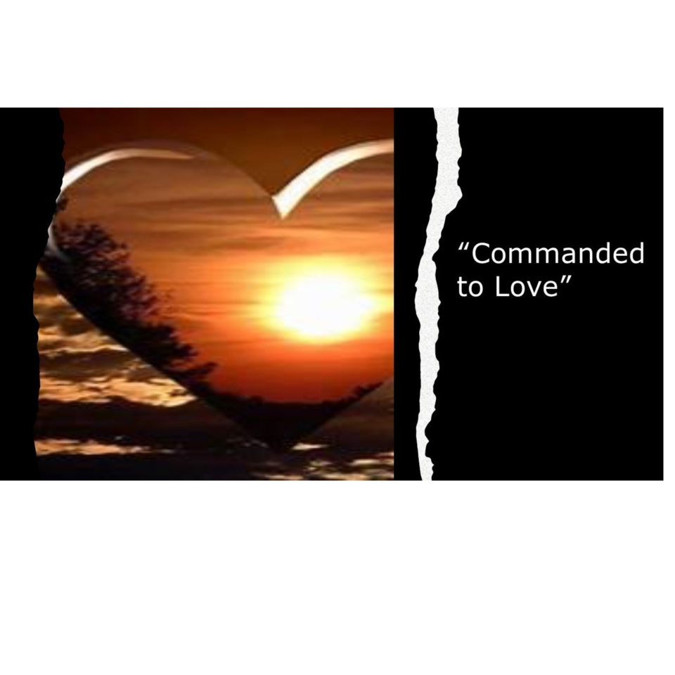 Cherry Lane United Methodist Church Events