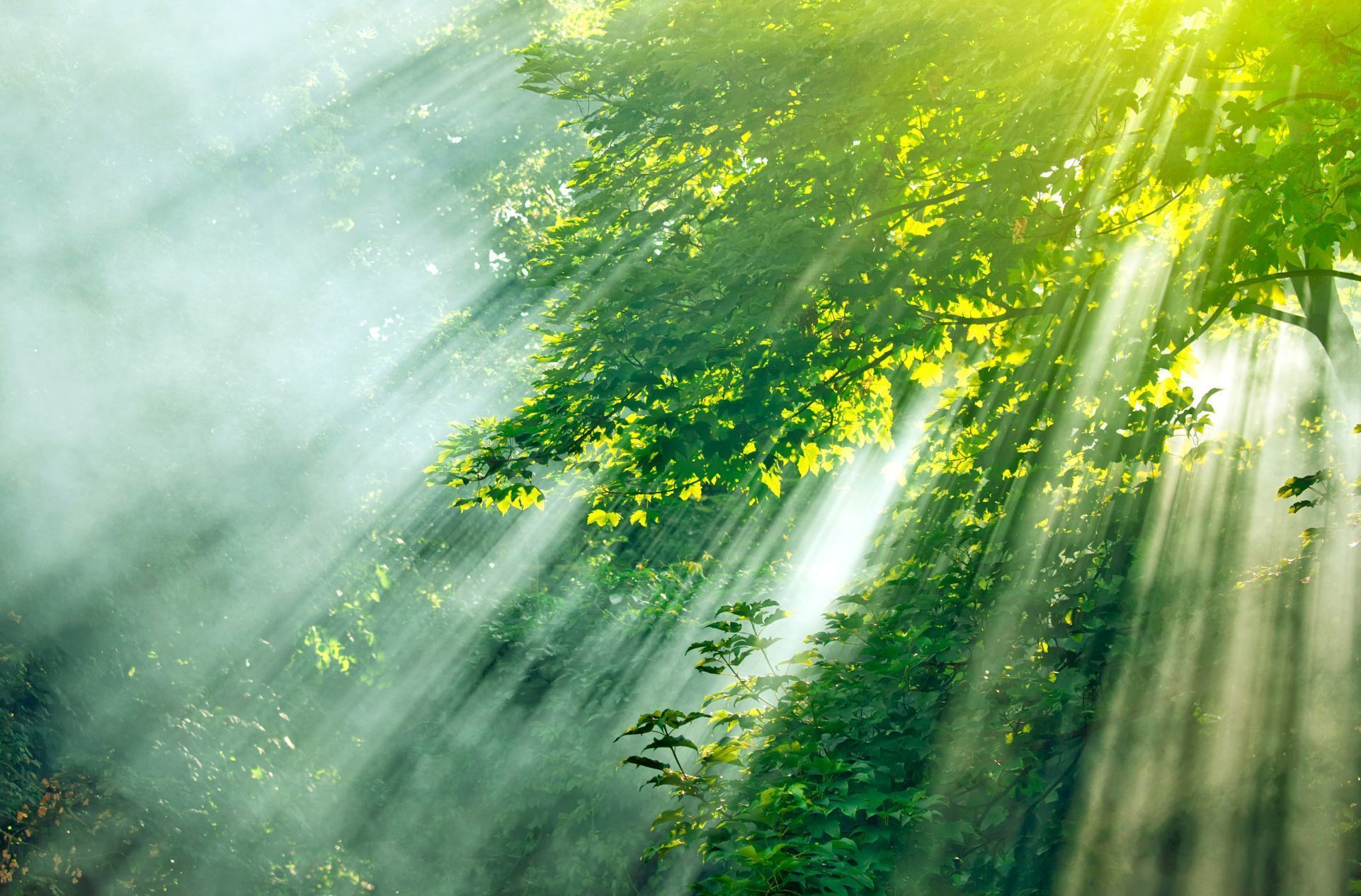 Medway Village Church Contact