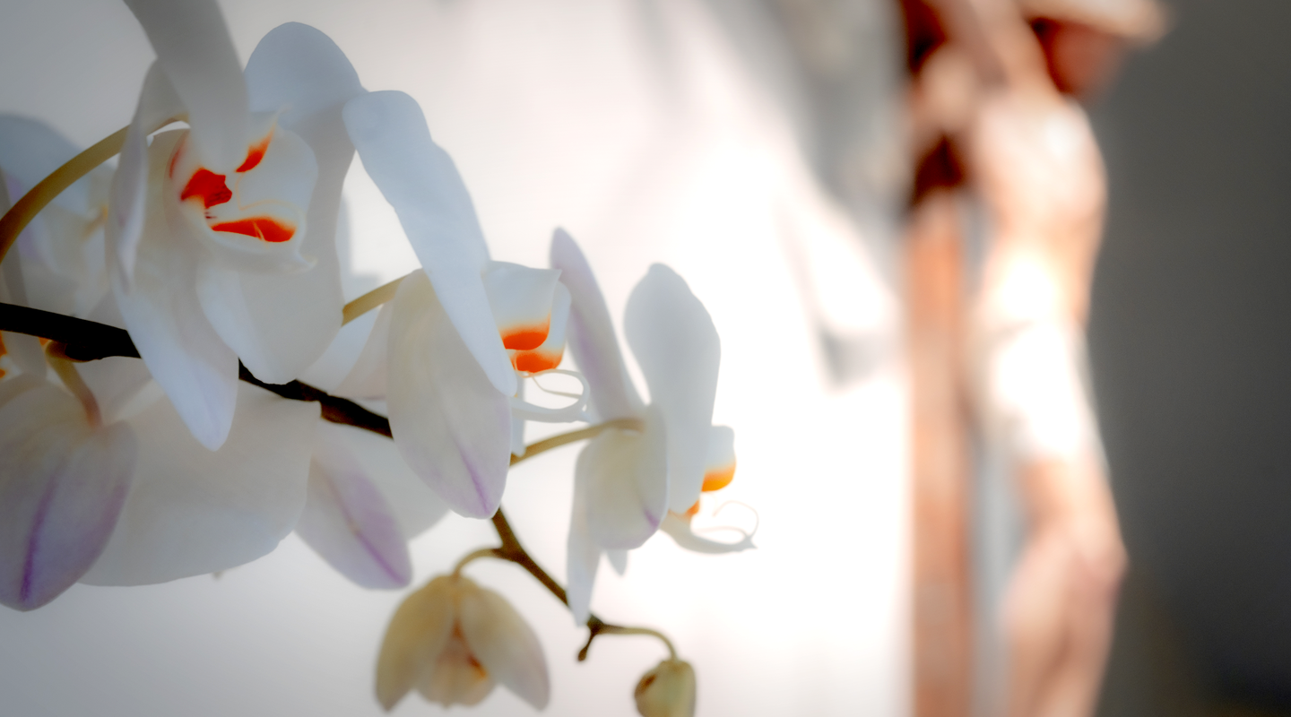 Saint Hedwig Catholic Church Events/Bulletin