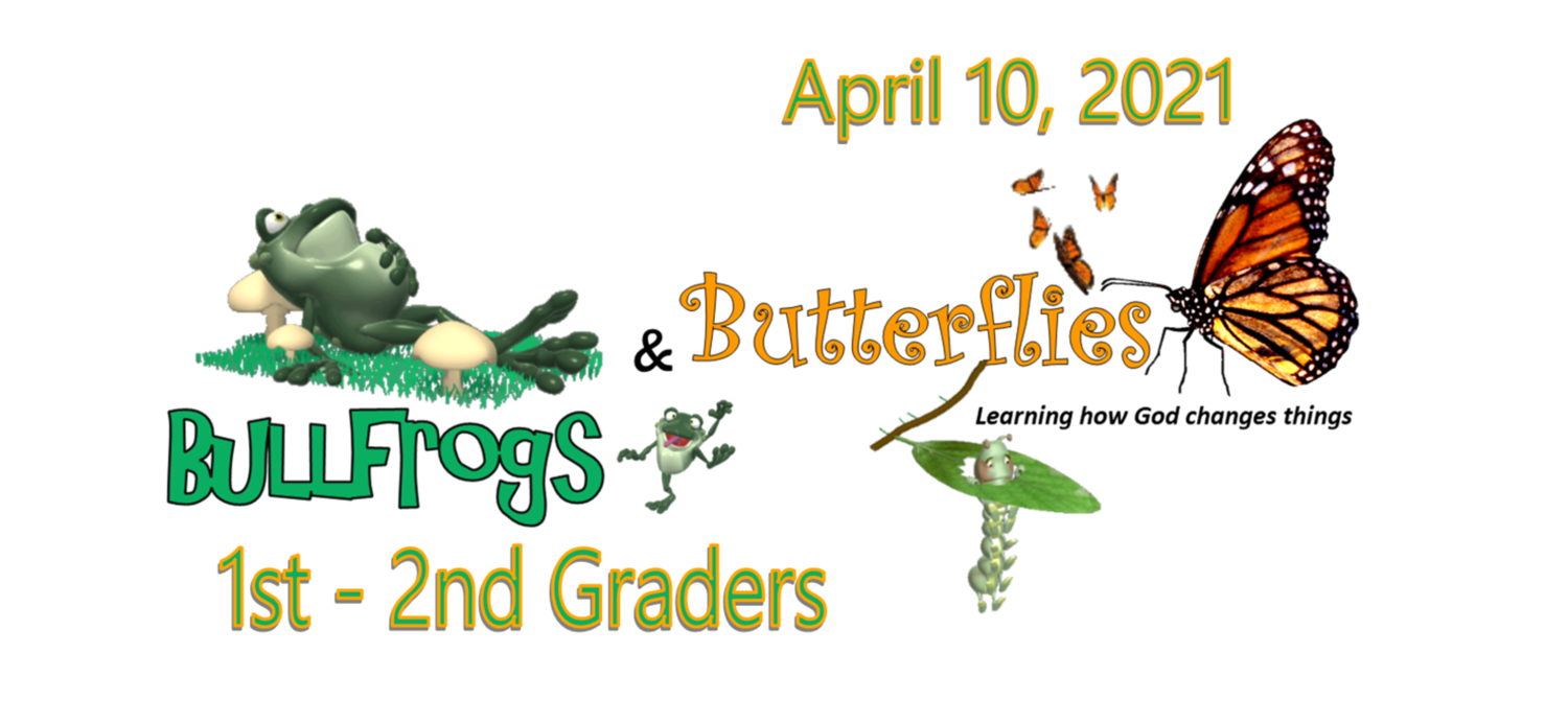 Maranatha Bible Camp Bullfrogs & Butterflies