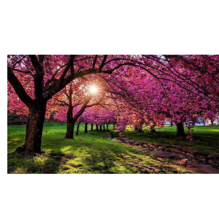 Ireton Christian Reformed Church Monthly Newsletters