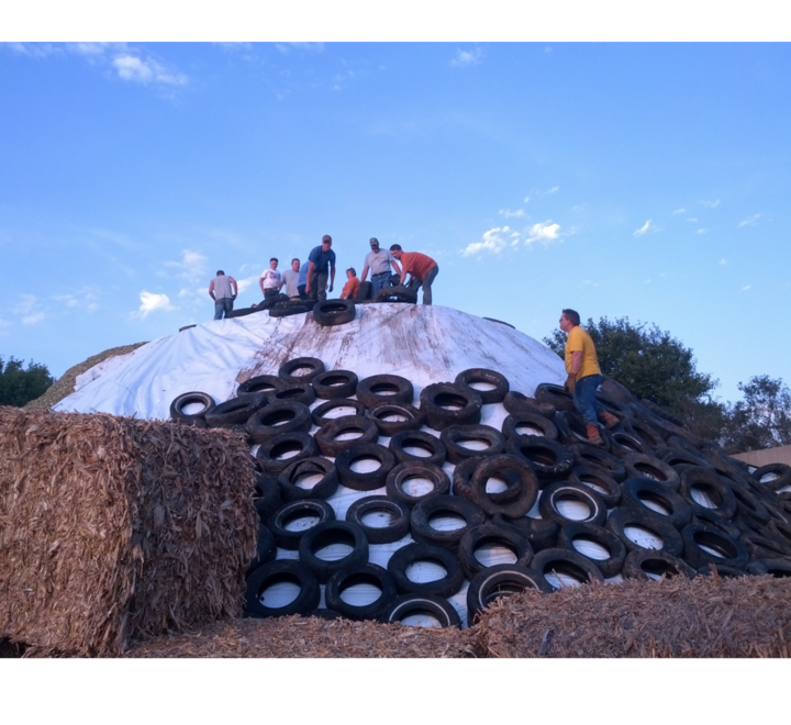 Ireton Christian Reformed Church Christian Education Unit