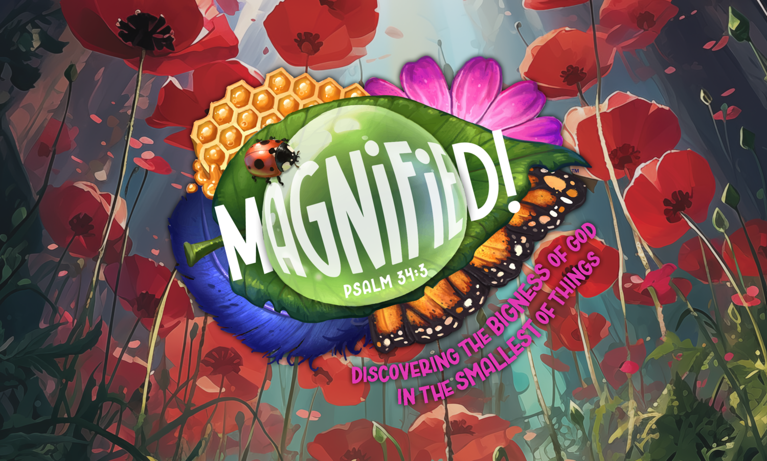 Faith Evangelical Bible Church VBS CHILD REGISTRATION Faith evangelical bible church vbs child registration