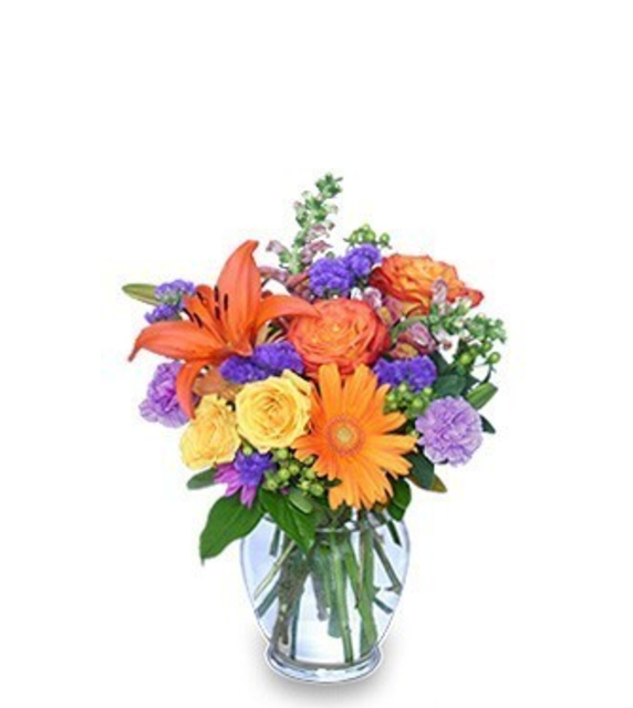 Colts Neck Reformed Church Signups