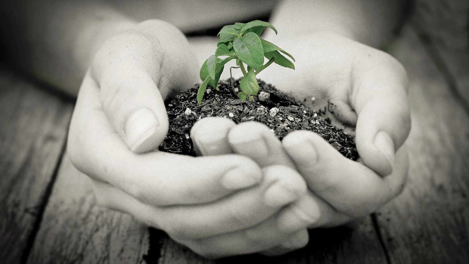 St Peter Lutheran Church