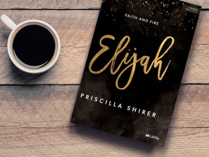 Image for event "Ladies' Spring Bible Study: Elijah".