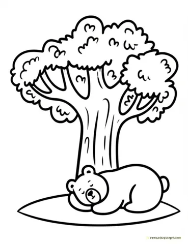 A brown bear taking a nap under a shady tree