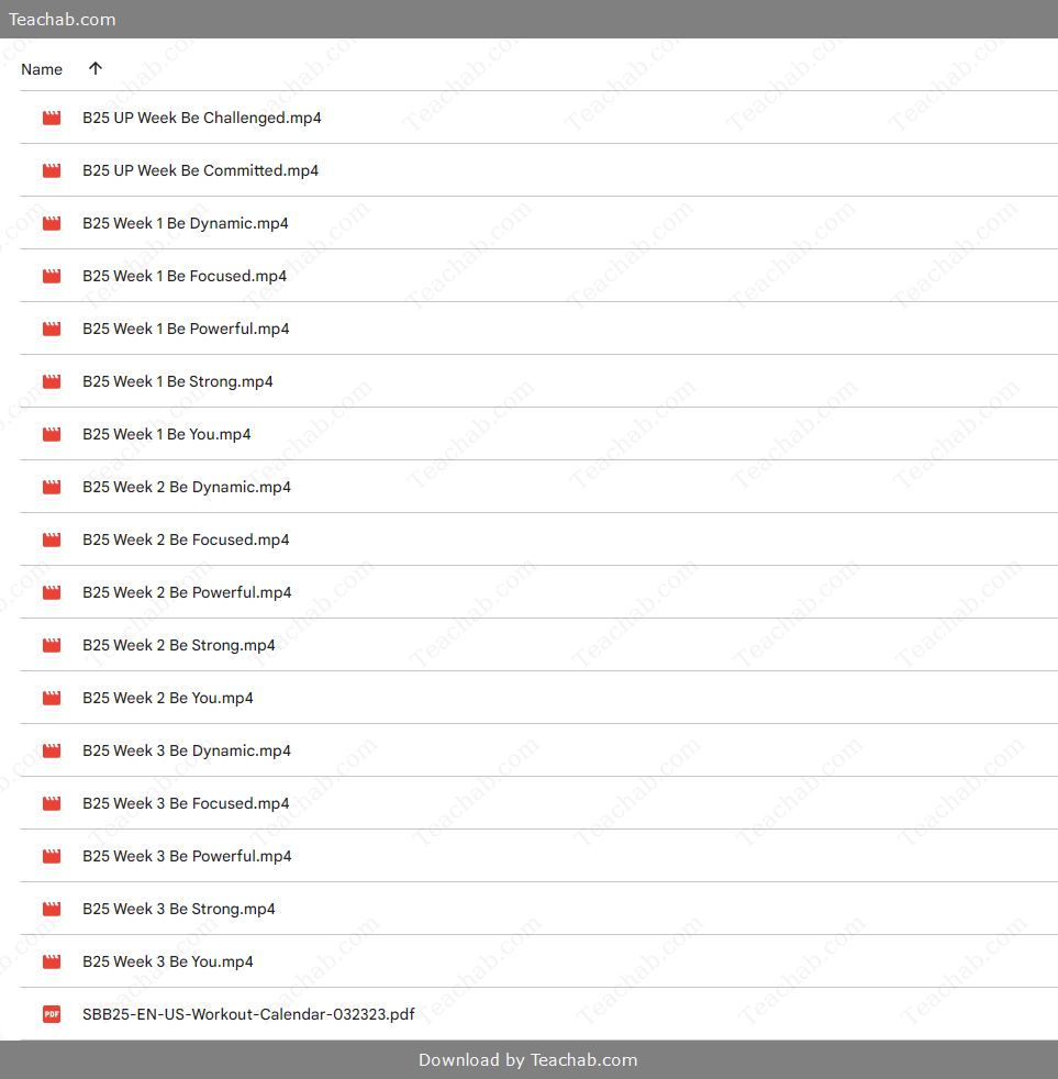 B25 Super Block 2023 by Shaun T Free Download