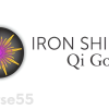 the-iron-shirt-qi-gong-online-course-by-lee-holden-free-download