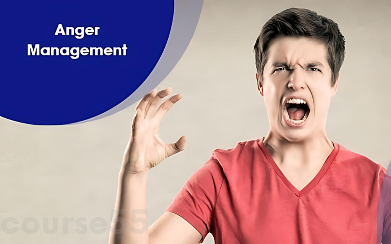 anger-management-by-stone-river-elearning-free-download