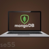 learn-mongodb-from-scratch-by-stone-river-elearning-free-download