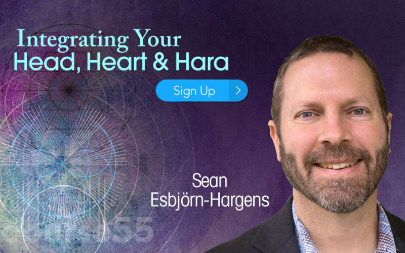 integrating-your-head-heart-hara-by-sean-esbjorn-hargens-free-download