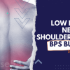 low-back-neck-shoulder-pain-bps-bundle-by-the-knowledge-exchange-free-download