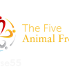 the-five-animal-frolics-online-course-by-lee-holden-free-download