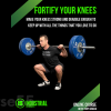 fortify-your-knees-online-course-by-tony-gracia-free-download