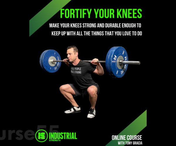 fortify-your-knees-online-course-by-tony-gracia-free-download