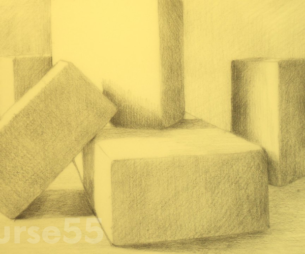 drawing-fundamentals-tonality-and-shadows-by-amy-wynne-free-download