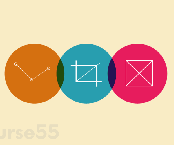 Basics of Adobe CC: Photoshop, Illustrator & InDesign By Jason Hoppe Free Download