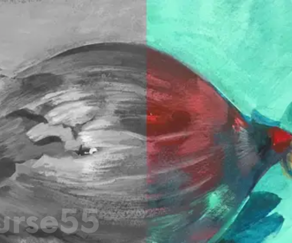 color-fundamentals-by-mary-jane-begin-free-download