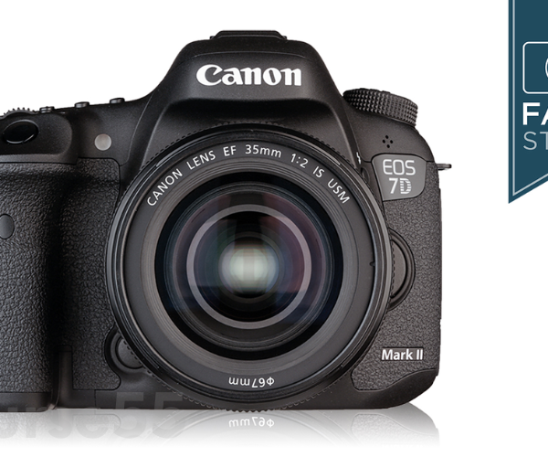 canon-7d-mark-ii-fast-start-by-john-greengo-free-download