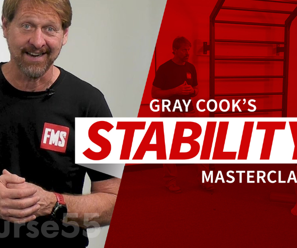 movement-masterclass-stability-by-gray-cook-free-download