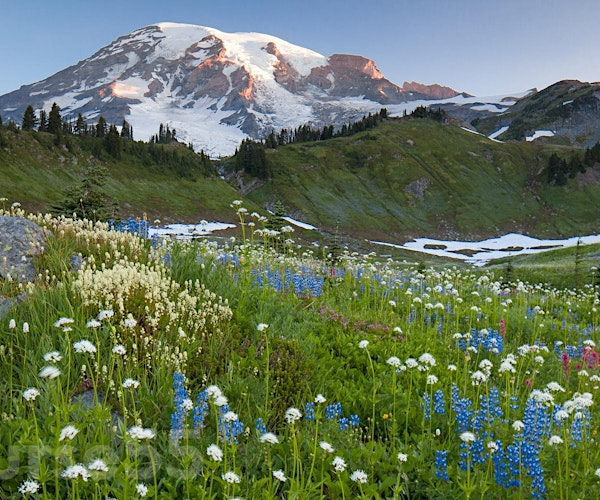 nature-and-landscape-photography-by-john-greengo-free-download