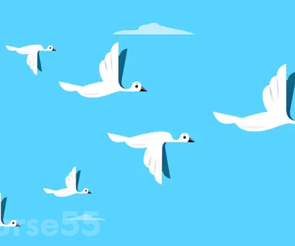 build-your-influence-build-your-business-by-shari-alexander-free-download