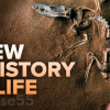 a-new-history-of-life-by-stuart-sutherland-free-download