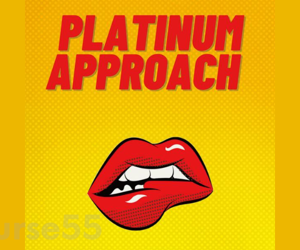 platinum-approach-bundle-the-step-by-step-guide-to-getting-more-dates-by-tinder-platinum-free-download
