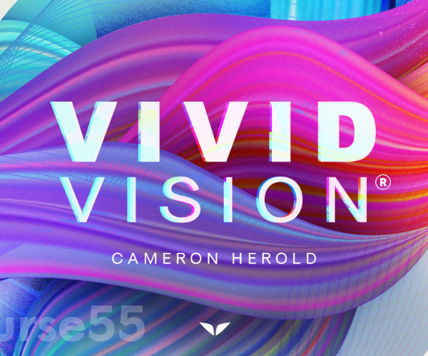 vivid-vision-2023-by-cameron-herold-mindvalley-free-download
