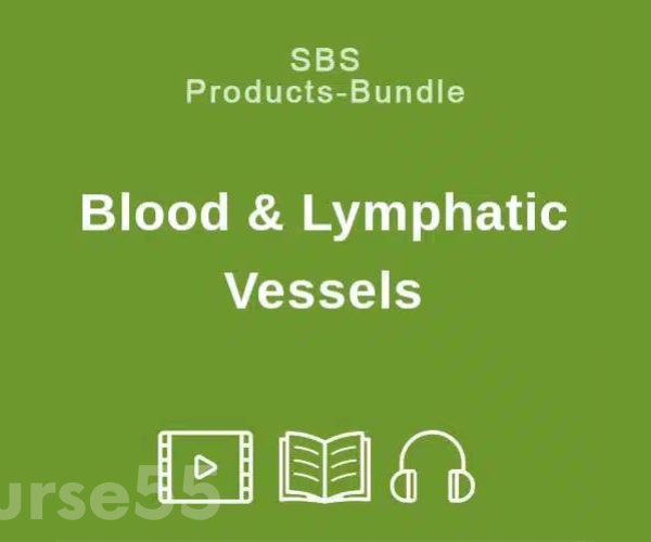 blood-lymphatic-vessels-seminar-tutorial-by-ghk-academy-free-download