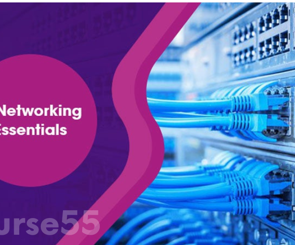 it-networking-essentials-by-stone-river-elearning-free-download