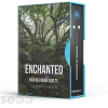 isle-of-skye-enchanted-forest-composite-stock-assets-by-clinton-lofthouse-free-download