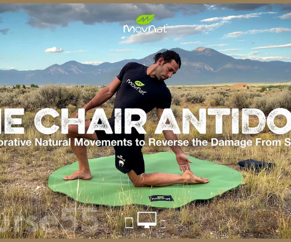 movnat-chair-antidote-program-by-movnat-free-download
